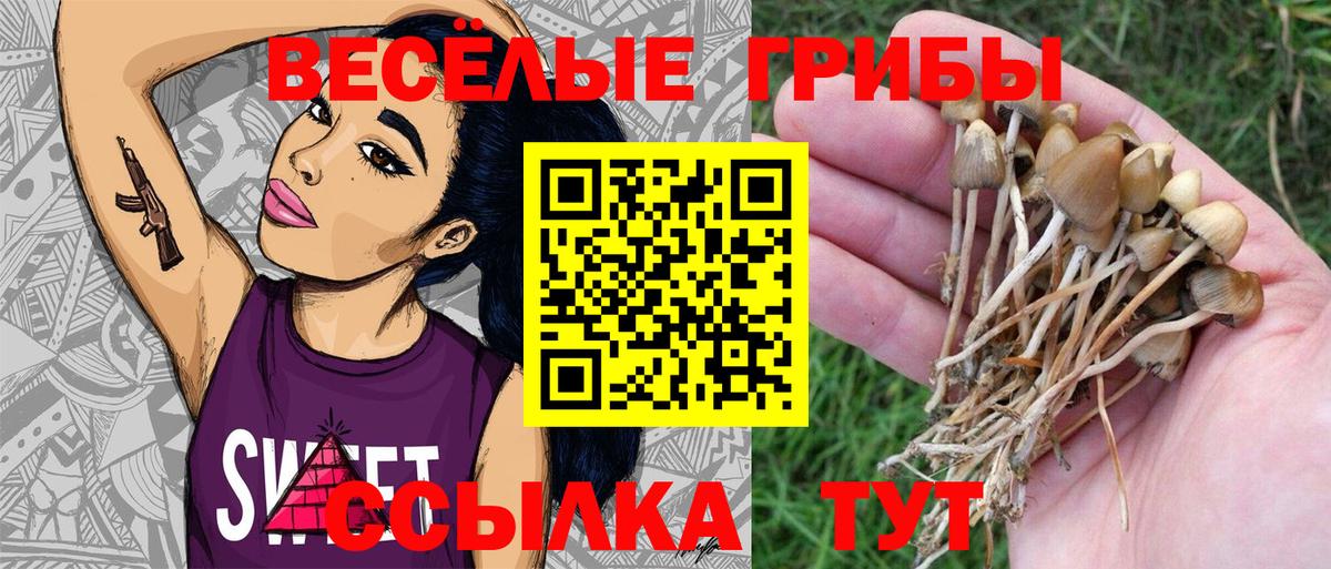 Псилоцибиновые грибы прущие грибы Соль-Илецк